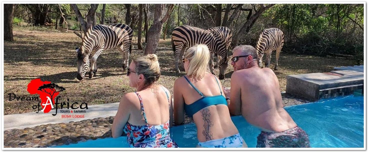 Dream Of Africa Bush Lodge Marloth Park Eksteriør bilde